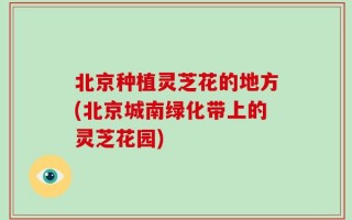 北京种植灵芝花的地方(北京城南绿化带上的灵芝花园)