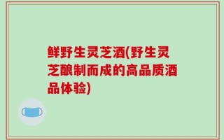 鲜野生灵芝酒(野生灵芝酿制而成的高品质酒品体验)