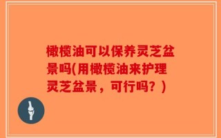 橄榄油可以保养灵芝盆景吗(用橄榄油来护理灵芝盆景，可行吗？)