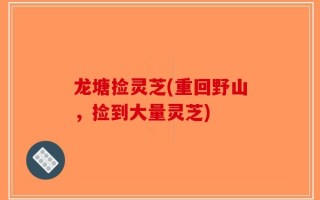 龙塘捡灵芝(重回野山，捡到大量灵芝)