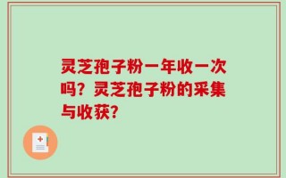灵芝孢子粉一年收一次吗？灵芝孢子粉的采集与收获？