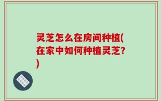 灵芝怎么在房间种植(在家中如何种植灵芝？)