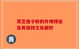灵芝孢子粉的外观特征及其独特之处解析