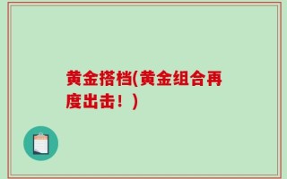 黄金搭档(黄金组合再度出击！)