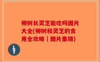 柳树长灵芝能吃吗图片大全(柳树和灵芝的食用全攻略｜图片集锦)