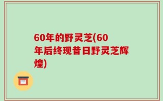 60年的野灵芝(60年后终现昔日野灵芝辉煌)
