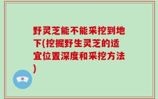 野灵芝能不能采挖到地下(挖掘野生灵芝的适宜位置深度和采挖方法)
