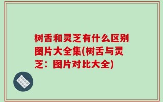 树舌和灵芝有什么区别图片大全集(树舌与灵芝：图片对比大全)