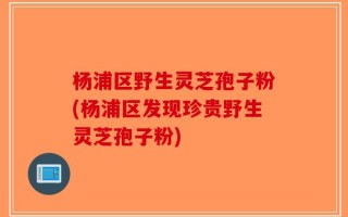 杨浦区野生灵芝孢子粉(杨浦区发现珍贵野生灵芝孢子粉)