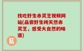 找吃野生赤灵芝视频网站(品尝野生纯天然赤灵芝，感受大自然的味道)