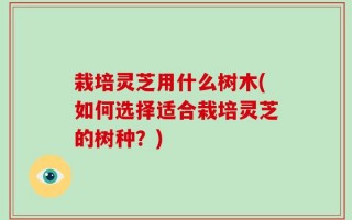 栽培灵芝用什么树木(如何选择适合栽培灵芝的树种？)