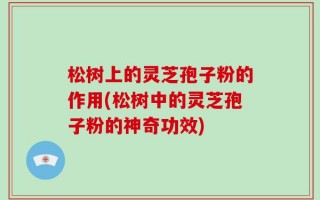 松树上的灵芝孢子粉的作用(松树中的灵芝孢子粉的神奇功效)