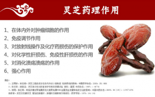 化疗期间吃灵芝孢子粉有用吗？