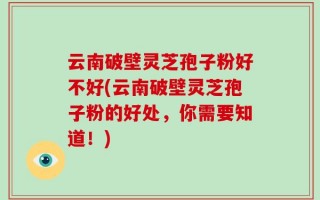 云南破壁灵芝孢子粉好不好(云南破壁灵芝孢子粉的好处，你需要知道！)
