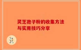 灵芝孢子粉的收集方法与实用技巧分享