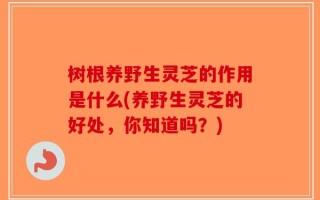 树根养野生灵芝的作用是什么(养野生灵芝的好处，你知道吗？)