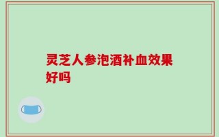 灵芝人参泡酒补血效果好吗