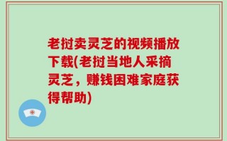 老挝卖灵芝的视频播放下载(老挝当地人采摘灵芝，赚钱困难家庭获得帮助)