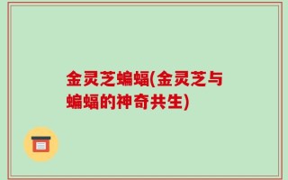 金灵芝蝙蝠(金灵芝与蝙蝠的神奇共生)