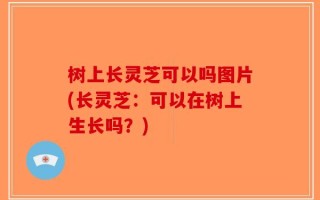 树上长灵芝可以吗图片(长灵芝：可以在树上生长吗？)
