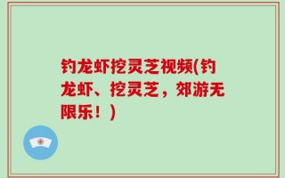 钓龙虾挖灵芝视频(钓龙虾、挖灵芝，郊游无限乐！)