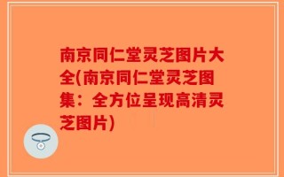 南京同仁堂灵芝图片大全(南京同仁堂灵芝图集：全方位呈现高清灵芝图片)