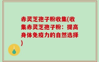 赤灵芝孢子粉收集(收集赤灵芝孢子粉：提高身体免疫力的自然选择)