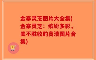 金寨灵芝图片大全集(金寨灵芝：缤纷多彩，美不胜收的高清图片合集)