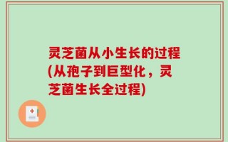 灵芝菌从小生长的过程(从孢子到巨型化，灵芝菌生长全过程)