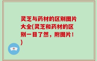 灵芝与药材的区别图片大全(灵芝和药材的区别一目了然，附图片！)