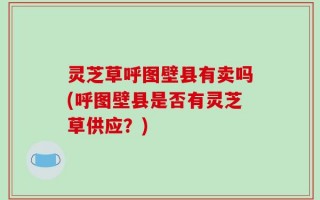 灵芝草呼图壁县有卖吗(呼图壁县是否有灵芝草供应？)