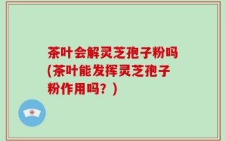 茶叶会解灵芝孢子粉吗(茶叶能发挥灵芝孢子粉作用吗？)