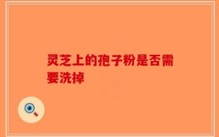 灵芝上的孢子粉是否需要洗掉