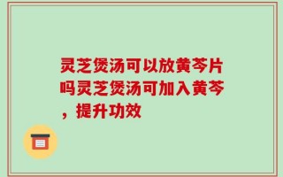 灵芝煲汤可以放黄芩片吗灵芝煲汤可加入黄芩，提升功效