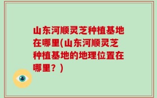 山东河顺灵芝种植基地在哪里(山东河顺灵芝种植基地的地理位置在哪里？)