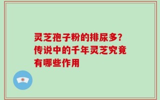 灵芝孢子粉的排尿多？传说中的千年灵芝究竟有哪些作用