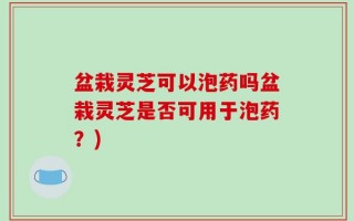 盆栽灵芝可以泡药吗盆栽灵芝是否可用于泡药？)