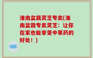 淮南盆栽灵芝专卖(淮南盆栽专卖灵芝：让你在家也能享受中草药的好处！)