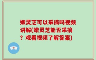 嫩灵芝可以采摘吗视频讲解(嫩灵芝能否采摘？观看视频了解答案)