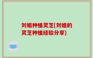 刘姐种植灵芝(刘姐的灵芝种植经验分享)