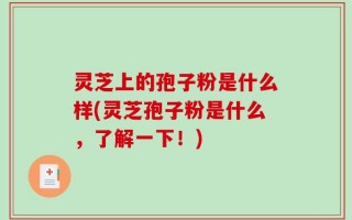 灵芝上的孢子粉是什么样(灵芝孢子粉是什么，了解一下！)