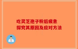 吃灵芝孢子粉后疲惫 探究其原因及应对方法