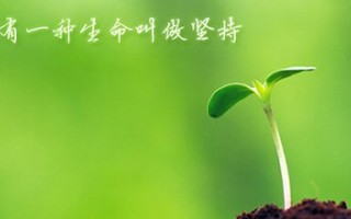 长期吃灵芝孢子粉有什么好处？长期吃灵芝孢子粉有副作用吗？