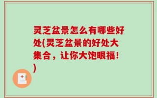 灵芝盆景怎么有哪些好处(灵芝盆景的好处大集合，让你大饱眼福！)