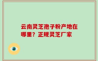 云南灵芝孢子粉产地在哪里？正规灵芝厂家