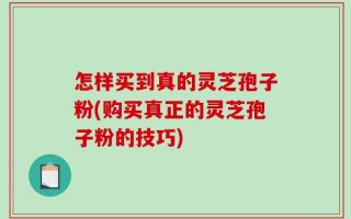 怎样买到真的灵芝孢子粉(购买真正的灵芝孢子粉的技巧)
