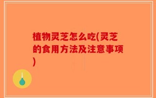 植物灵芝怎么吃(灵芝的食用方法及注意事项)