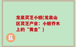 龙泉灵芝小椴(龙泉山区灵芝产业：小椴乔木上的“黄金”)