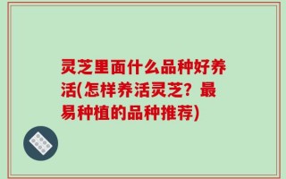 灵芝里面什么品种好养活(怎样养活灵芝？最易种植的品种推荐)