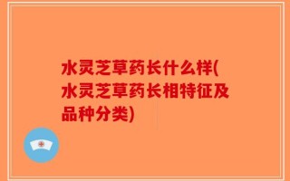 水灵芝草药长什么样(水灵芝草药长相特征及品种分类)
